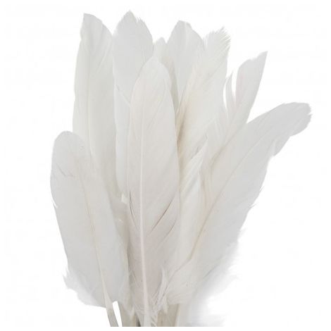 Piórka lotki Czakos 15cm, Białe